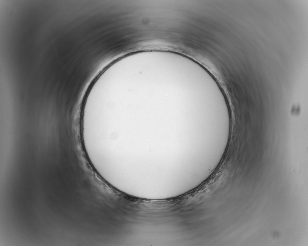 X0000103471008200810031516