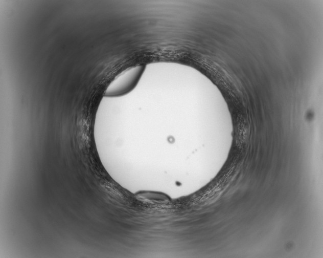 X0000103471010200810031515