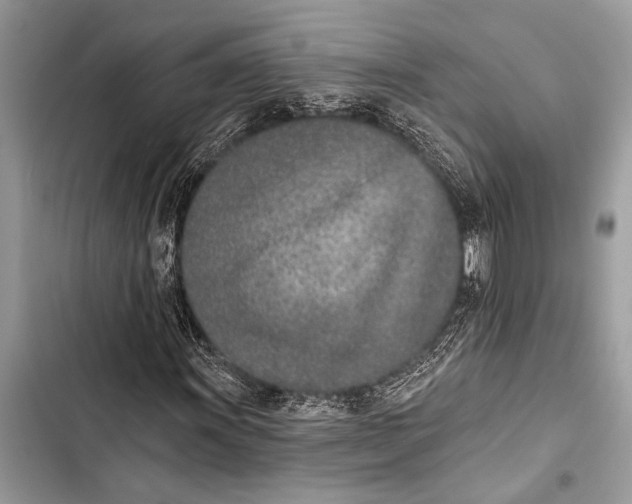 X0000103471011200810031515