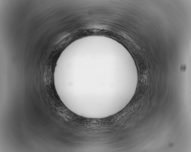 X0000103471014200810031515