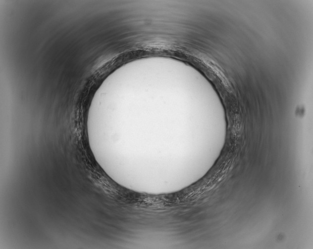 X0000103471015200810031515