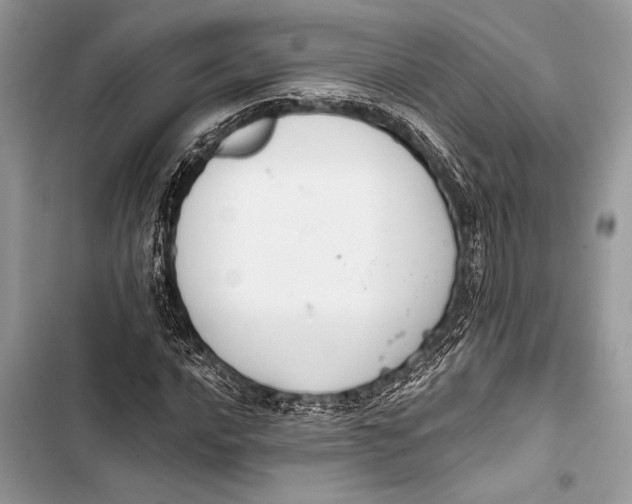 X0000103471016200810031515