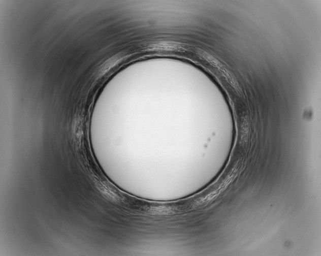 X0000103471017200810031515