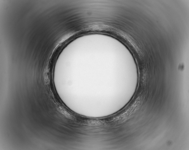 X0000103471018200810031515