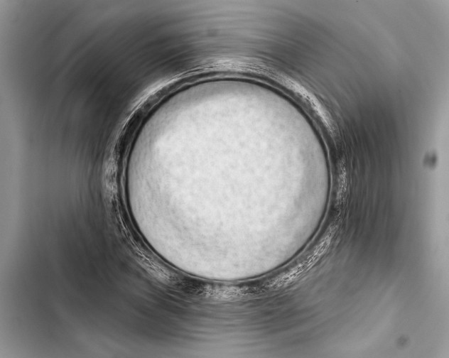 X0000103471019200810031515