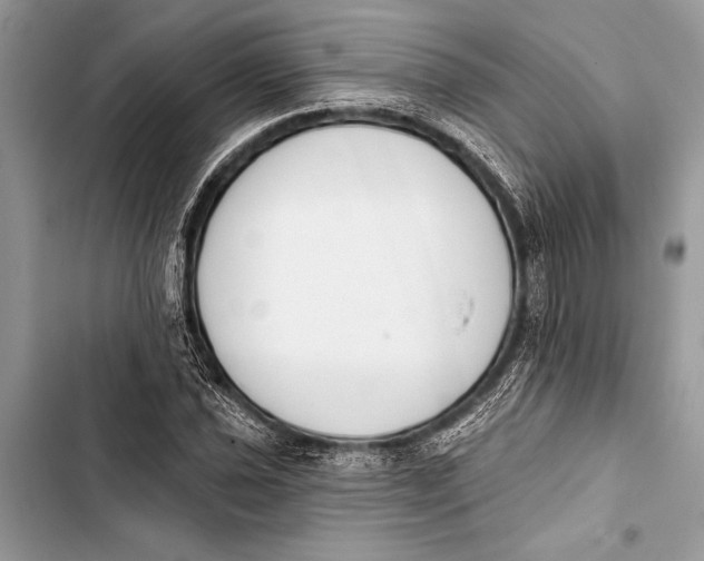 X0000103471021200810031515