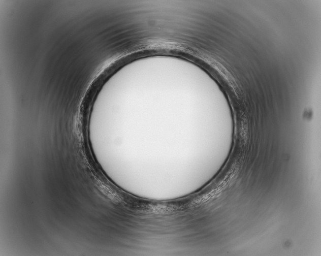 X0000103471022200810031515