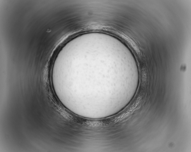 X0000103471023200810031515