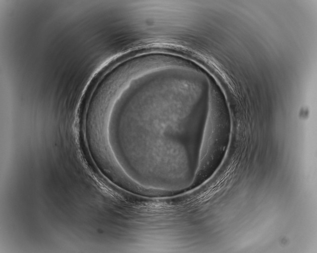 X0000103471024200810031515