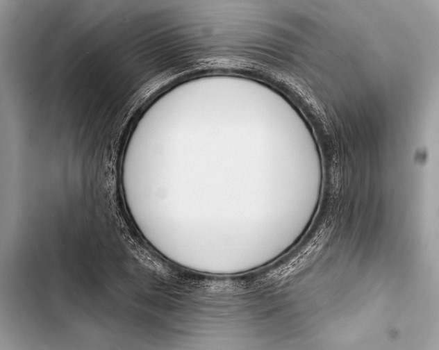 X0000103471025200810031515