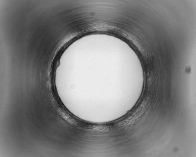 X0000103471026200810031515