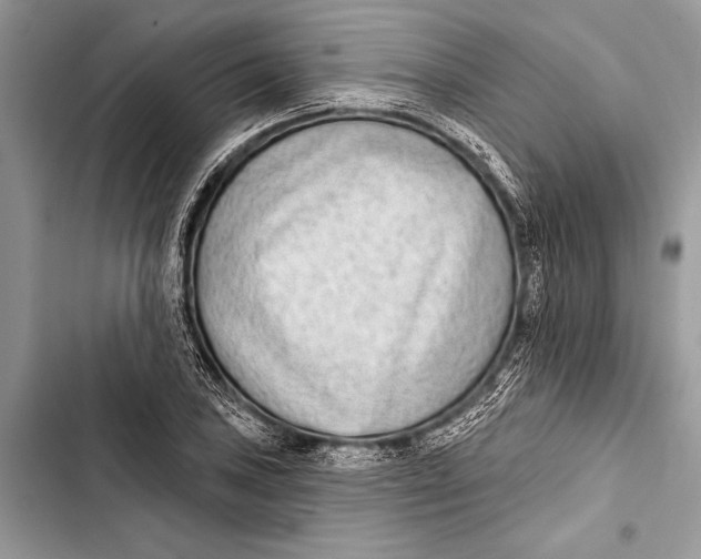 X0000103471027200810031515