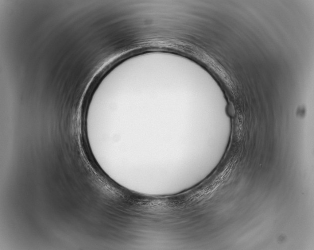 X0000103471028200810031515