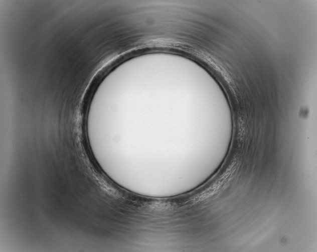 X0000103471029200810031515