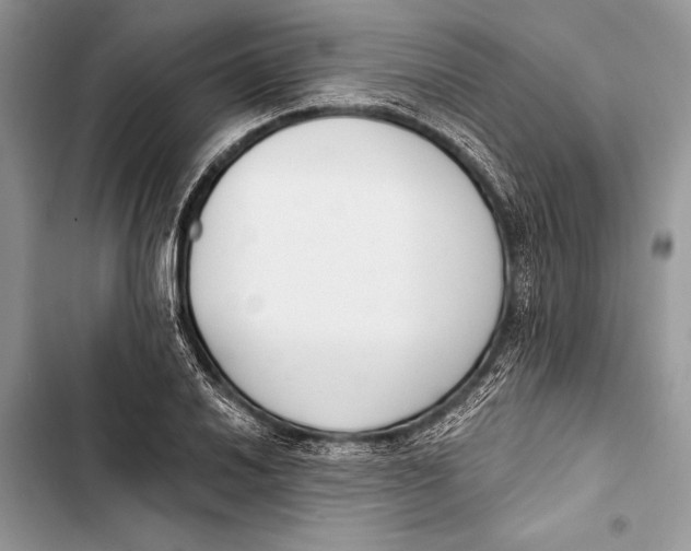 X0000103471030200810031515