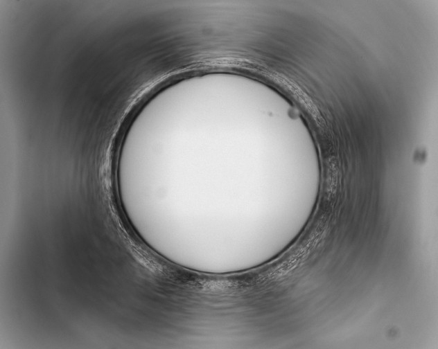 X0000103471031200810031515