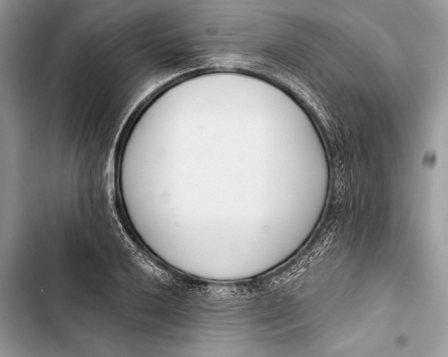 X0000103471032200810031515