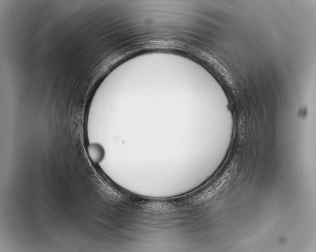 X0000103471033200810031515