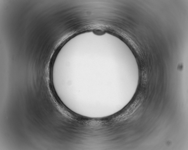 X0000103471034200810031515