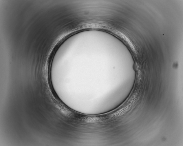 X0000103471035200810031515