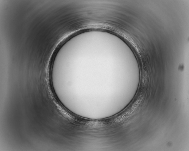 X0000103471037200810031515