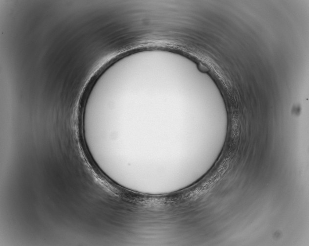 X0000103471038200810031515