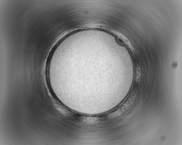 X0000103471039200810031515