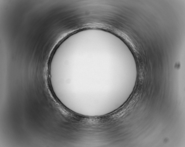 X0000103471040200810031515