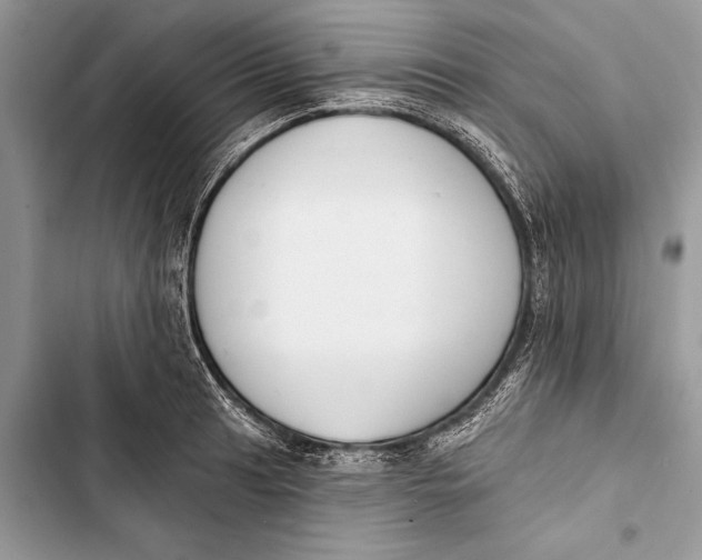 X0000103471041200810031515