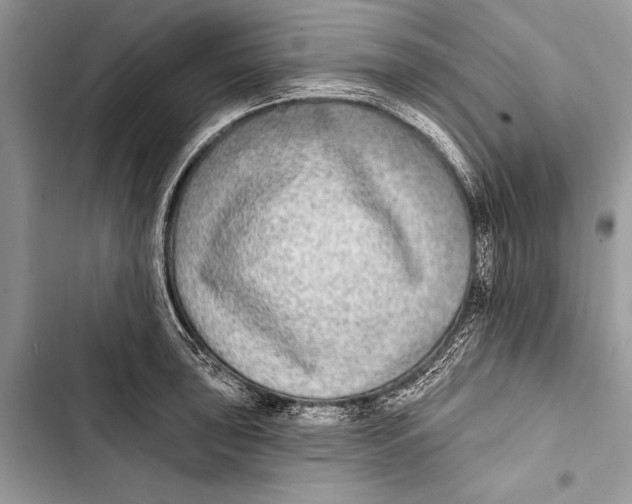 X0000103471043200810031515