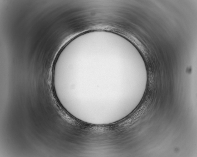 X0000103471044200810031515