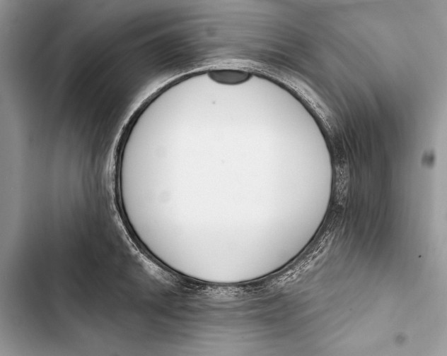 X0000103471046200810031515