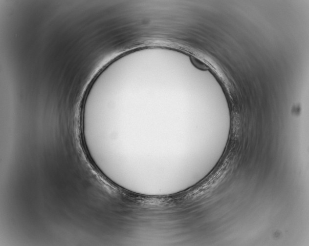 X0000103471048200810031515