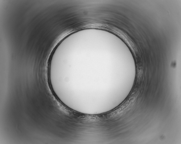 X0000103471050200810031515