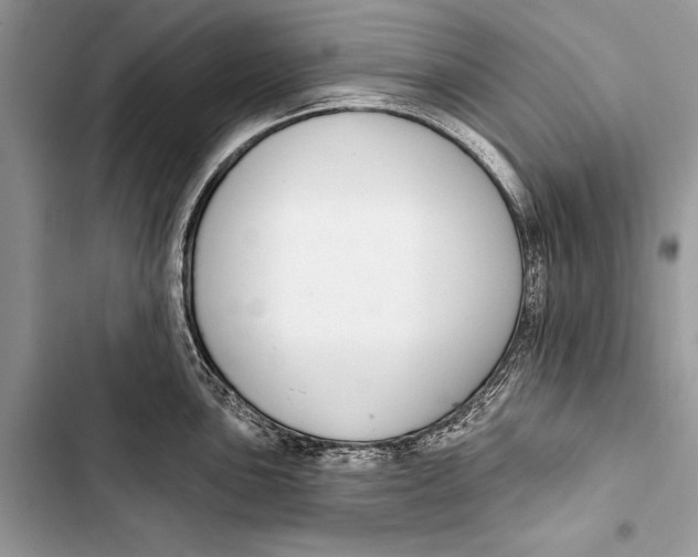 X0000103471051200810031516