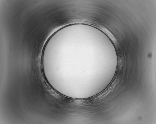 X0000103471052200810031516