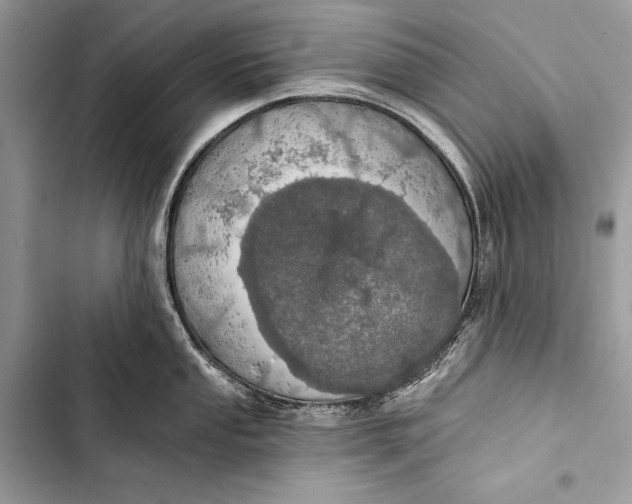 X0000103471053200810031516