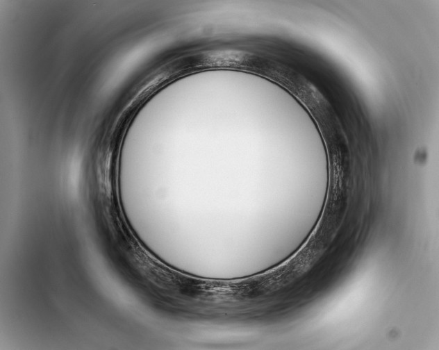 X0000103471054200810031516