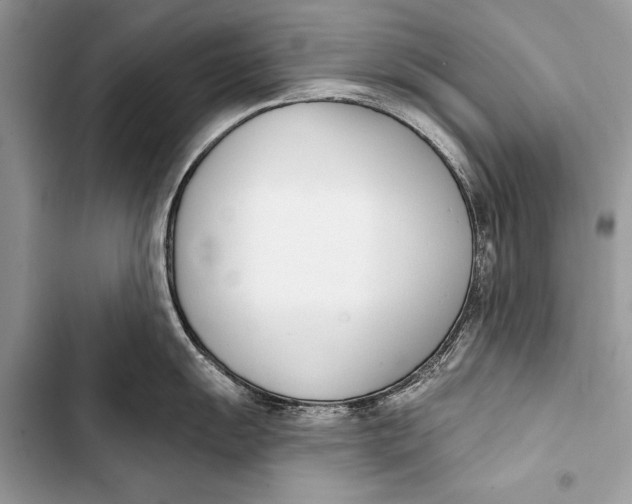 X0000103471055200810031516