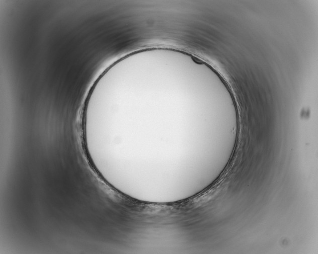 X0000103471056200810031516