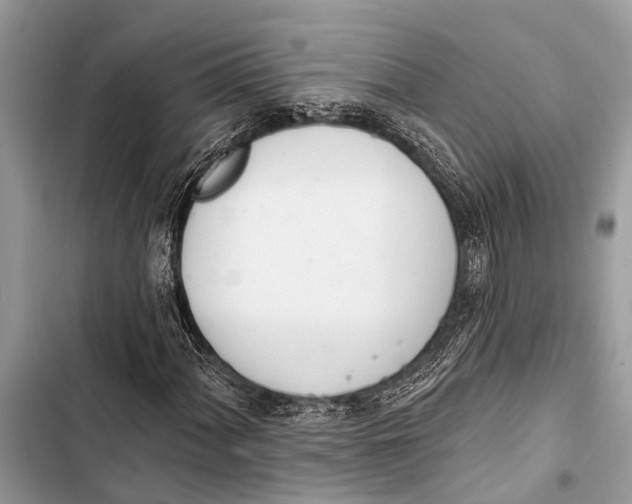 X0000103471060200810031515