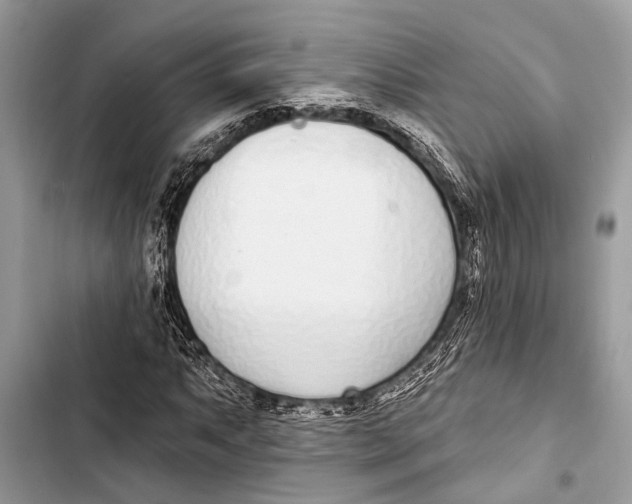 X0000103471063200810031515