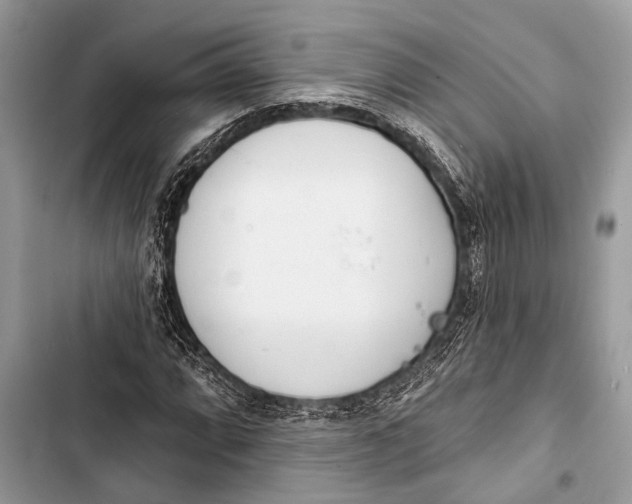 X0000103471064200810031515