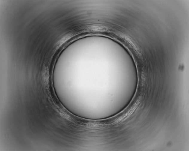 X0000103471065200810031515