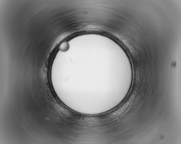 X0000103471066200810031515