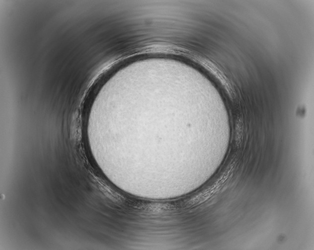 X0000103471067200810031515