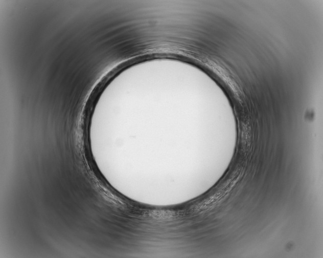 X0000103471068200810031515