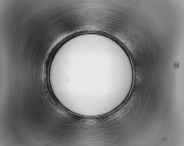 X0000103471070200810031515