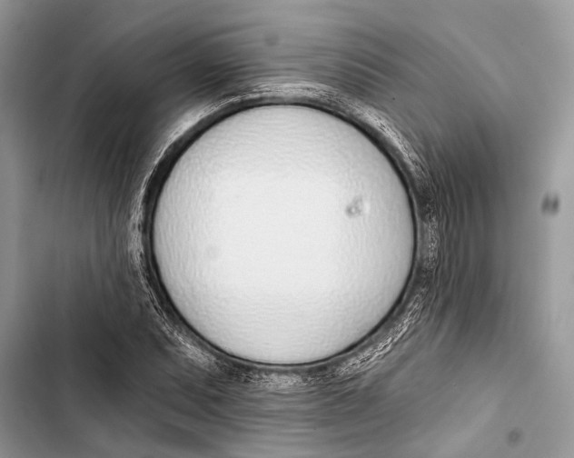 X0000103471071200810031515