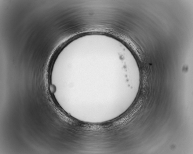 X0000103471072200810031515